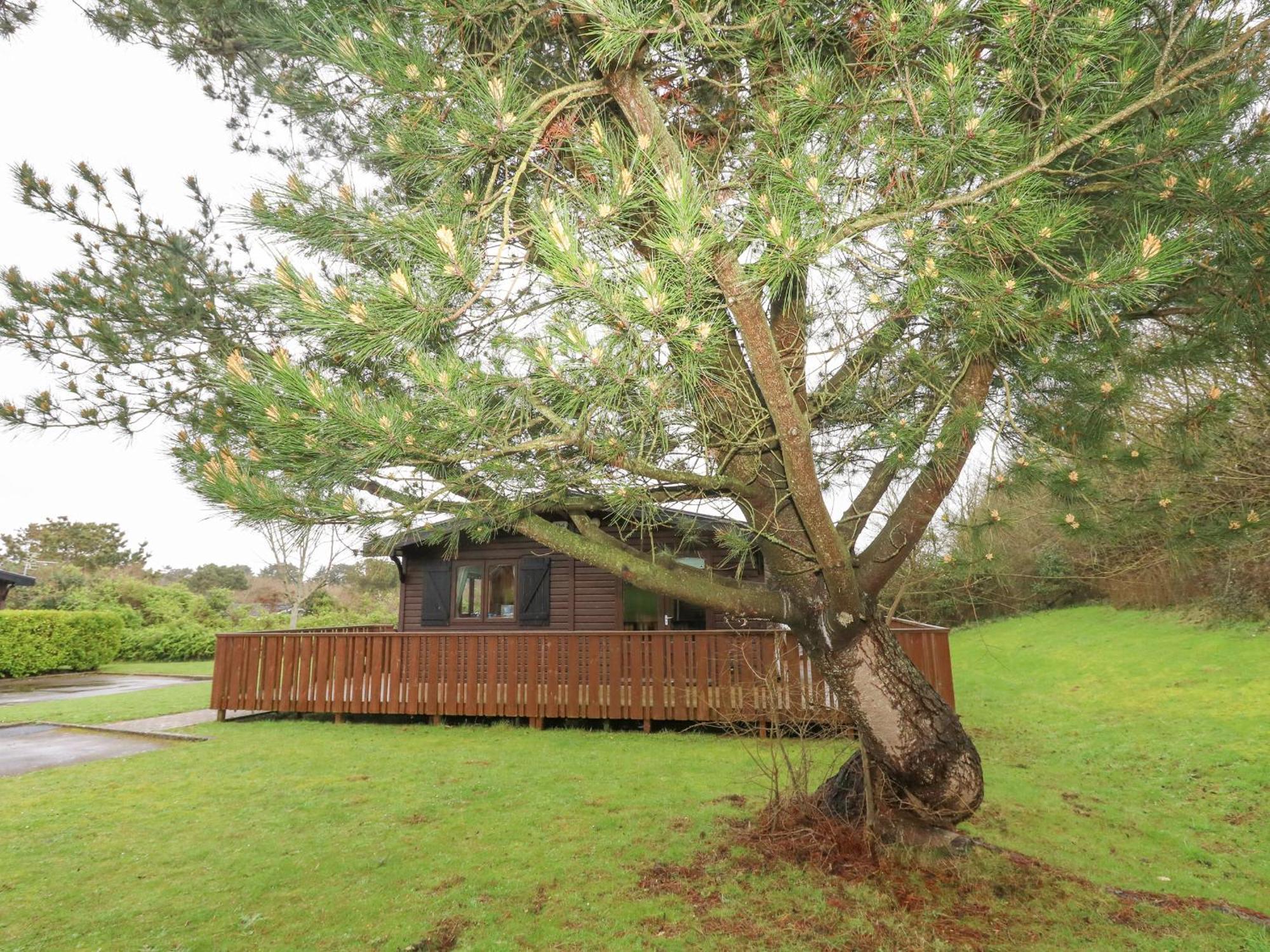 16 Amber Wood Lodge Lymington Exterior foto